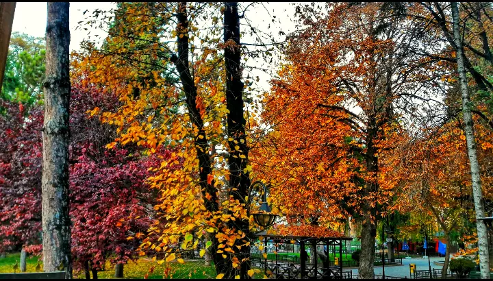 Park Cafe'nin yemek ve ambiyans fotoğrafları 1