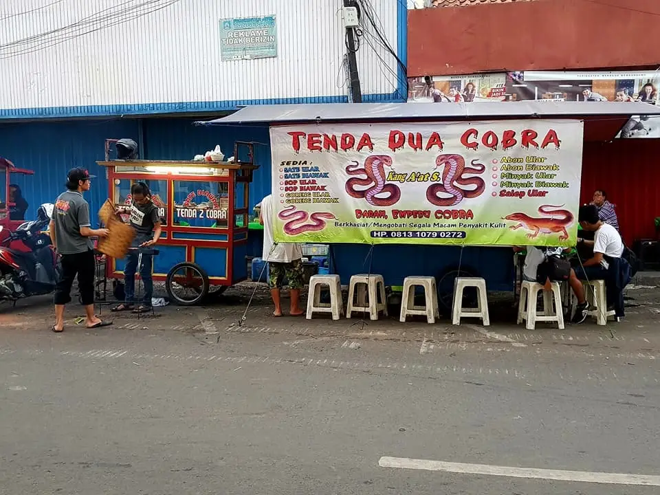 Tenda Dua Cobra