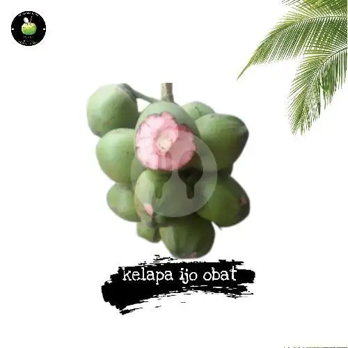 Gambar Makanan Kelapa Ijo Obat /Es Kelapa Muda Sas 99 2