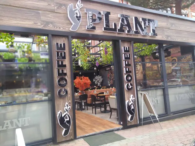 Coffee Plant'nin yemek ve ambiyans fotoğrafları 16