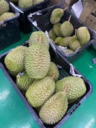 Kedai Makanan Pokok Jati