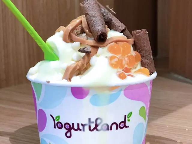 Gambar Makanan Yogurtland 3