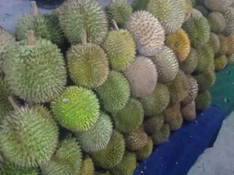 Durian Buffet Seksyen 7 Food Photo 11