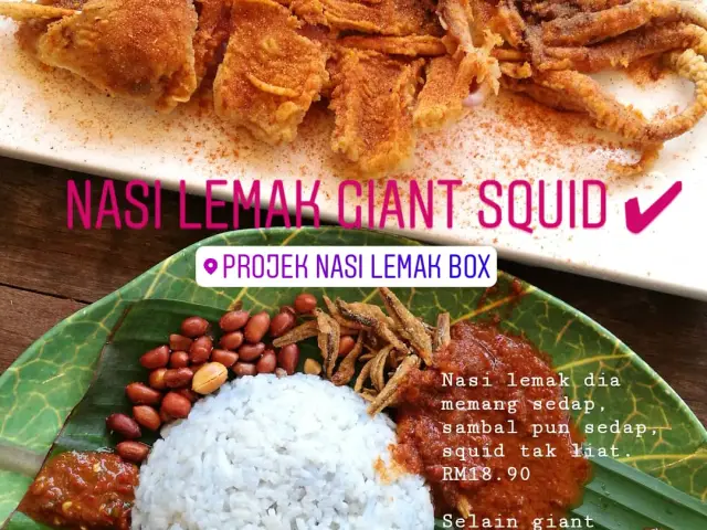 Projek Nasi Lemak Box Food Photo 7