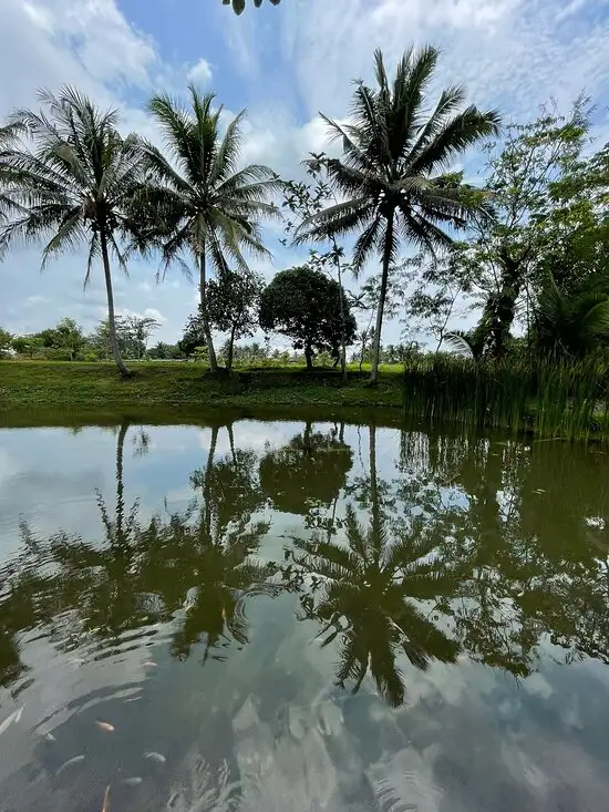 Gambar Makanan Kopi Mpat 16