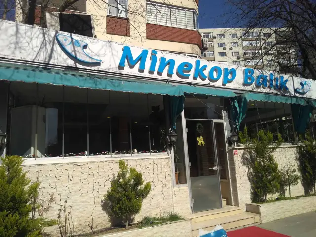 Minekop Restaurant'nin yemek ve ambiyans fotoğrafları 7