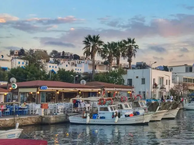 Alibaba Restaurant'nin yemek ve ambiyans fotoğrafları 2