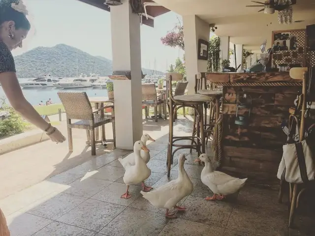 Oxygen Pub'nin yemek ve ambiyans fotoğrafları 60