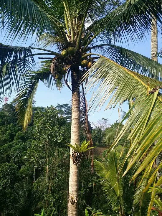 Gambar Makanan Basa Gede Warung 1