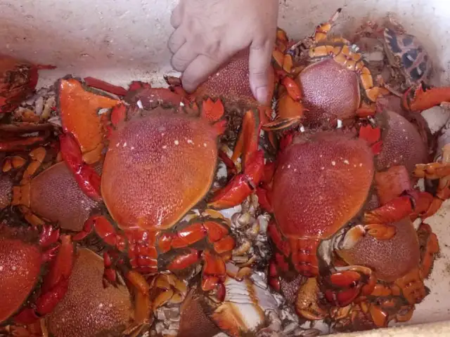 Gambar Makanan Juragan Lobster 6