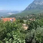 Yayla Gözleme'nin yemek ve ambiyans fotoğrafları 5