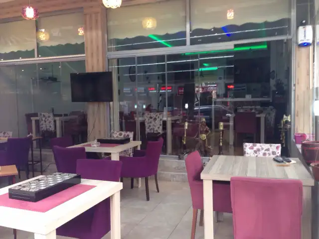 Cafe Cavalli's Nargile'nin yemek ve ambiyans fotoğrafları 3