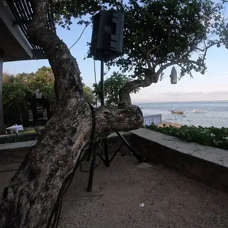 Gambar Makanan Tree Bar at Maya Sanur 16