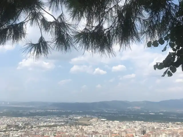 Köşk Çiftliği'nin yemek ve ambiyans fotoğrafları 2