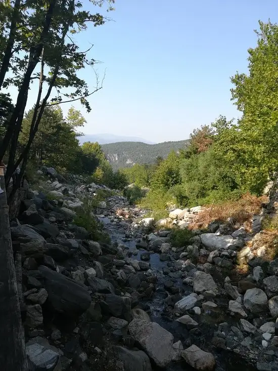 Şelale Çam Restaurant'nin yemek ve ambiyans fotoğrafları 5