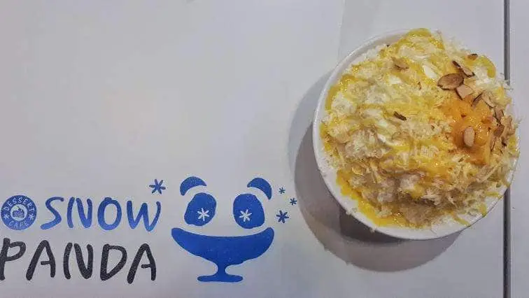 Snow Panda Food Photo 17