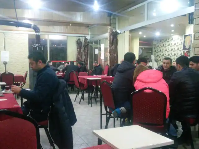 Serçe Cafe'nin yemek ve ambiyans fotoğrafları 9