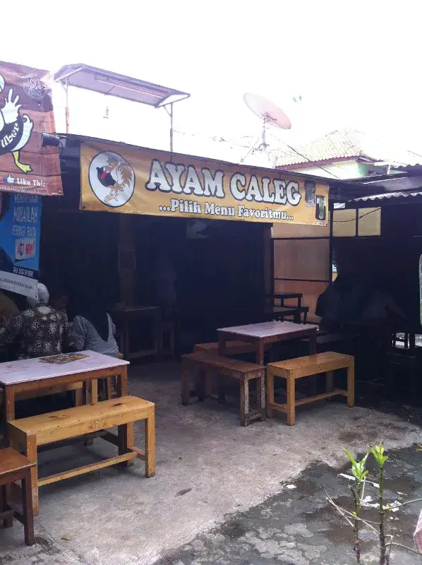 Gambar Makanan Ayam Caleg 2