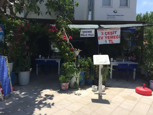 Piknik Ev Yemekleri'nin yemek ve ambiyans fotoğrafları 16