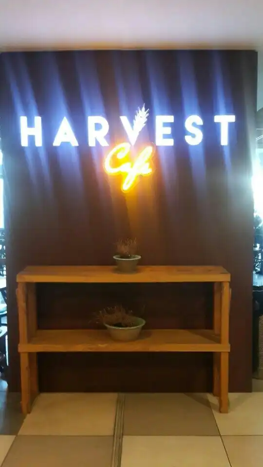 Harvest Cafe'nin yemek ve ambiyans fotoğrafları 5