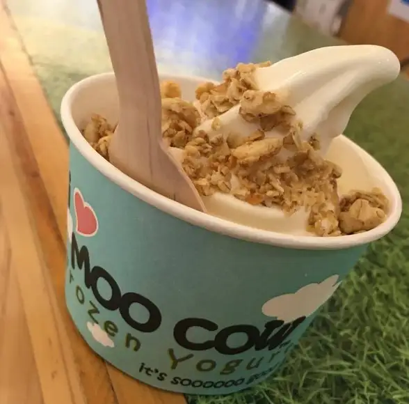 Moo Cow Frozen Yogurt Food Photo 3