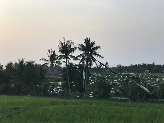 Gambar Makanan Warung Passo 20