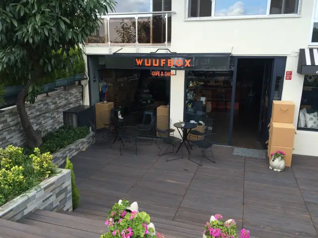Wuufbox Cafe & Shop'nin yemek ve ambiyans fotoğrafları 2