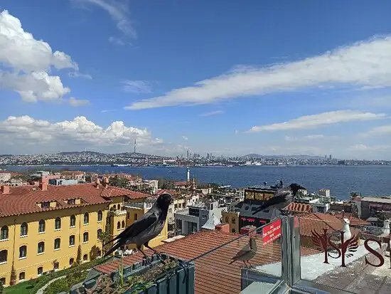 Carlos Istanbul Terrace Restaurant'nin yemek ve ambiyans fotoğrafları 17