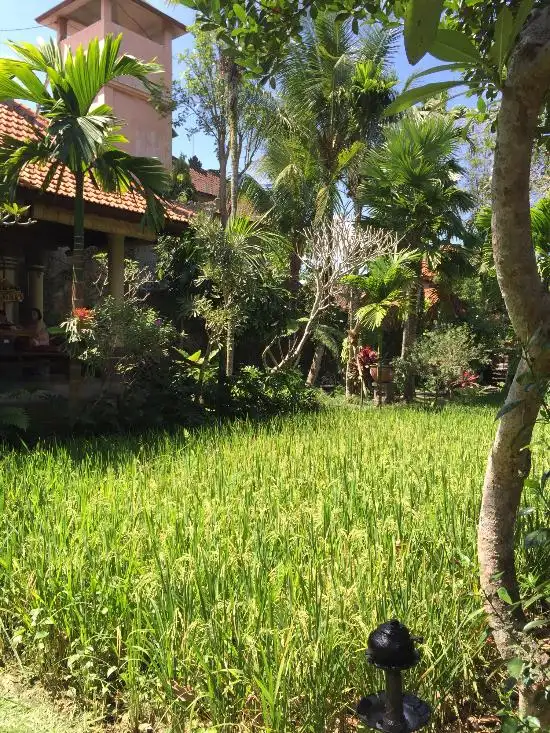 Gambar Makanan Bebek Ubud 6