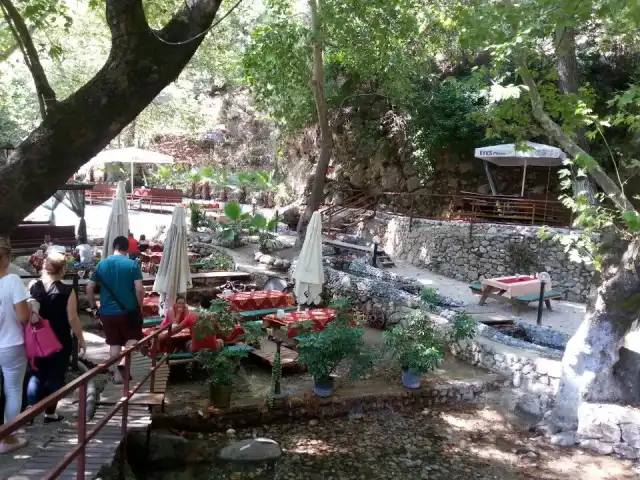 Yarıkpınar Çeşme Restaurant'nin yemek ve ambiyans fotoğrafları 6