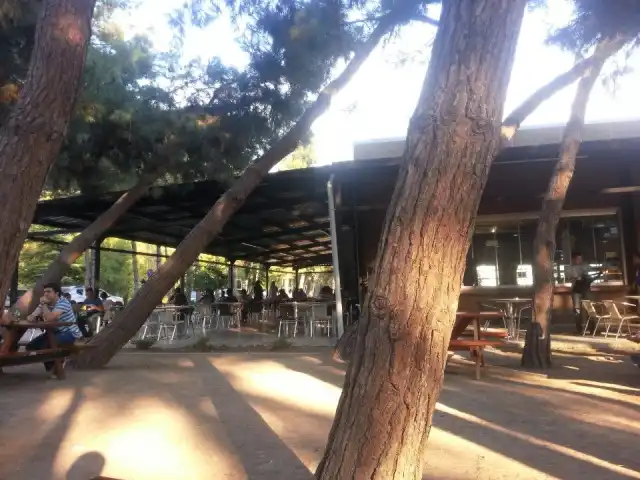 Yıldız Park Café'nin yemek ve ambiyans fotoğrafları 2