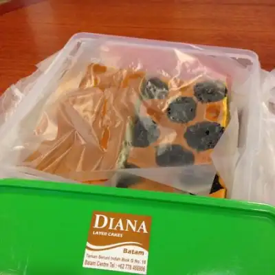 Diana Homemade Layer Cake