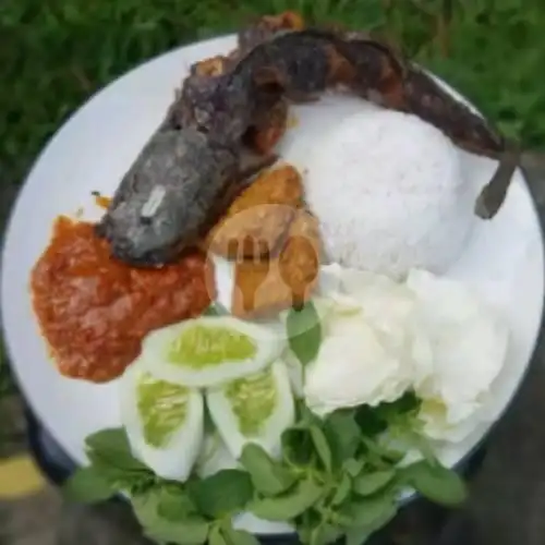 Gambar Makanan Pecel Lele 14, Lebak Bulus 18