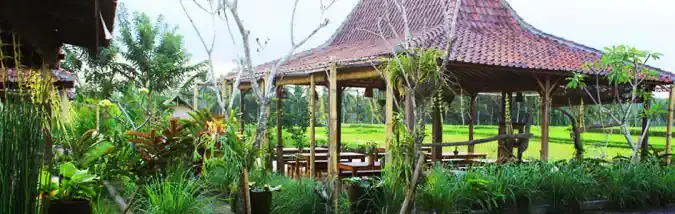 Warung Padi Organic