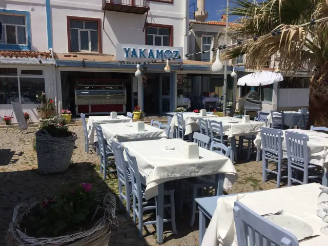 Yakamoz Restaurant – Bozcaada'nin yemek ve ambiyans fotoğrafları 47