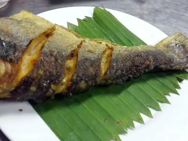Samudra Exotic River Fish Restaurant Food Photo 6