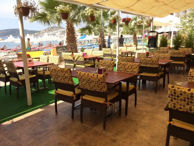 Turihan Beach Bar and Restaurant'nin yemek ve ambiyans fotoğrafları 7