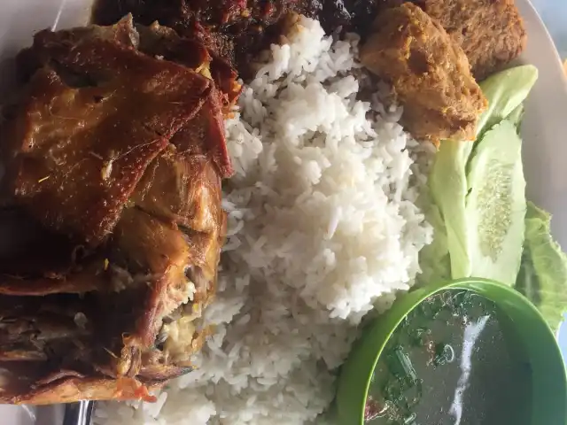 Nasi Ayam Pokok Besar Food Photo 5