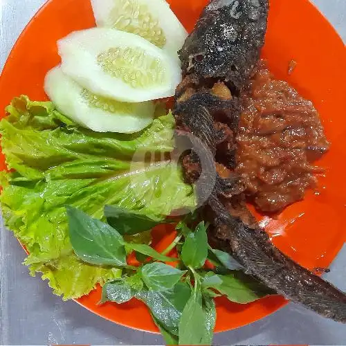 Gambar Makanan Pecel Lele Jaya Kusuma, Mayjen Sutoyo 3