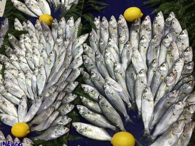 Karadeniz Balık'nin yemek ve ambiyans fotoğrafları 3