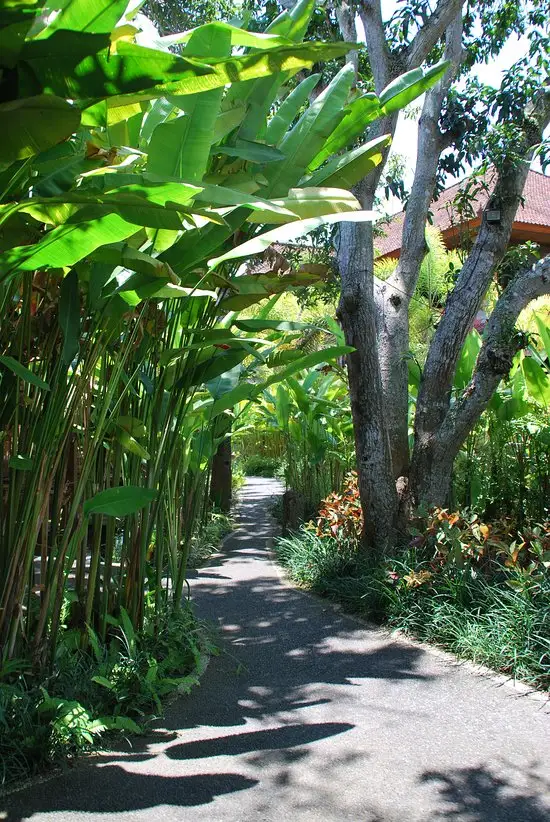 Gambar Makanan Bebek D'Ubud 8