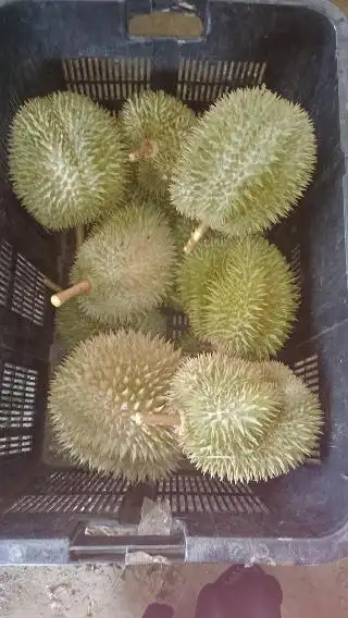 D'durian Abg Bakar Food Photo 3