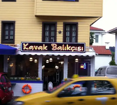 Kavak Balıkçısı