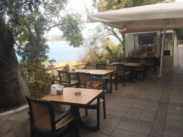 Yeşil Mavi Cafe'nin yemek ve ambiyans fotoğrafları 5