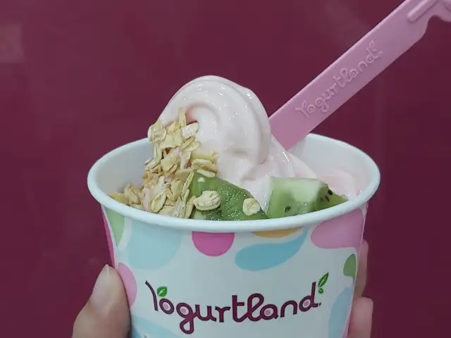 Gambar Makanan Yogurtland 8