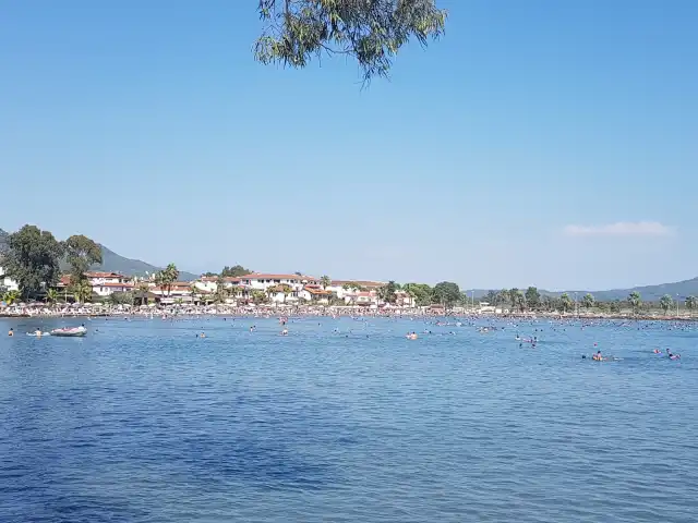 Muçev Akyaka Cafe Restaurant'nin yemek ve ambiyans fotoğrafları 3