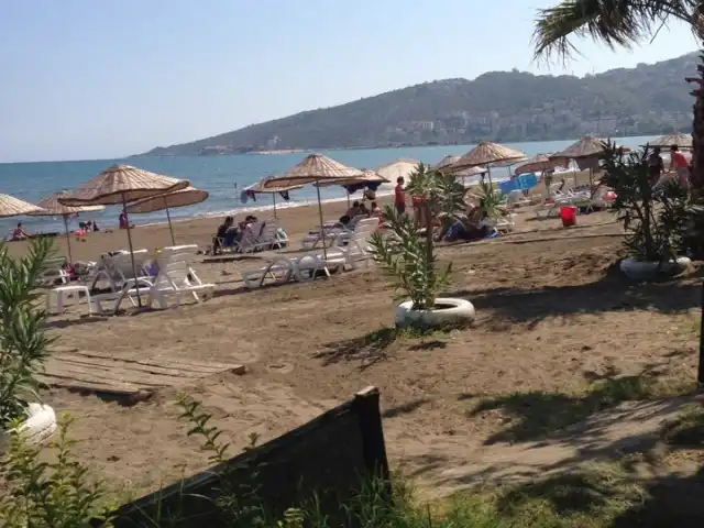 Zemuri Cafe Beach Restaurant'nin yemek ve ambiyans fotoğrafları 14