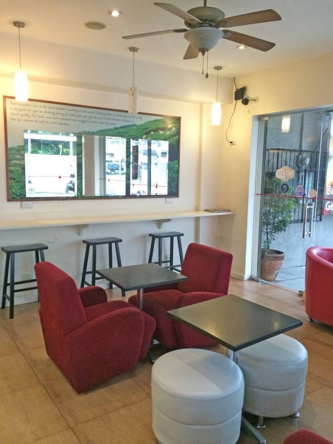 Raintree near me in White Plains Discover Cafe food restaurant nearby