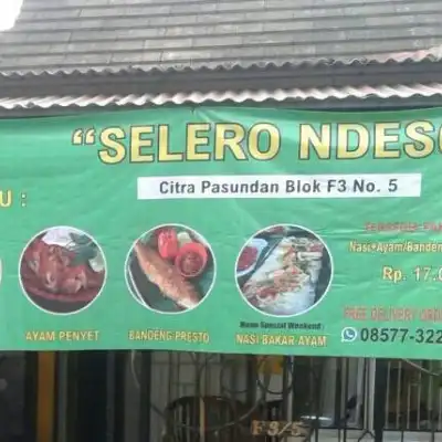 Depot Selero Ndeso