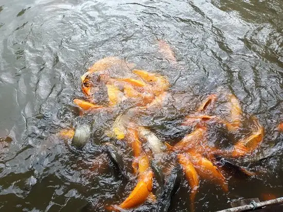 Gambar Makanan Pondok Hijau Restaurant 13